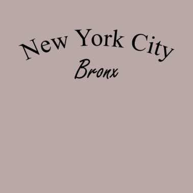 Motiv bronx New York City | T-Shirt