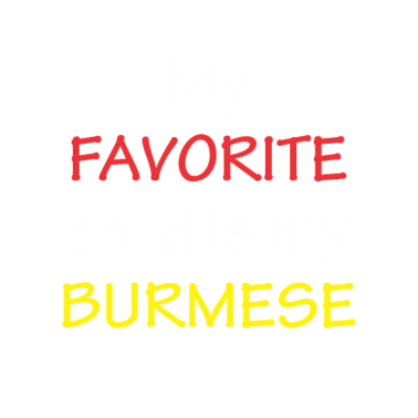 Motiv Burmese Cat favorite child Kitten Lover