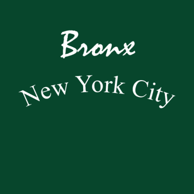 Motiv Bronx New York City | T-Shirt