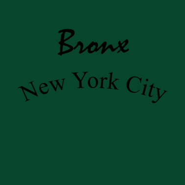 Motiv Bronx New York City | T-Shirt