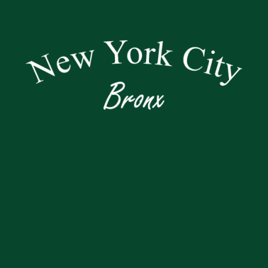 Motiv Bronx New York City | T-Shirt