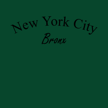 Motiv bronx New York City | T-Shirt