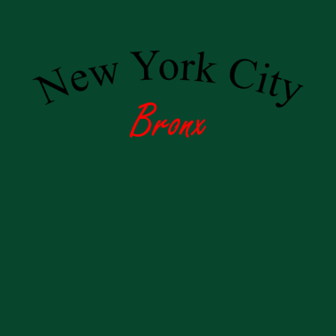 Motiv bronx New York City | T-Shirt
