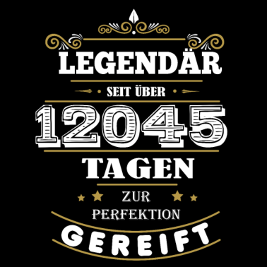 Motiv 33. Geburtstag T-Shirt Geschenk
