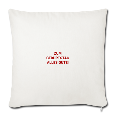 Geschenk Freundin Geburtstag Kissenbezug - Geburtstag Party Feier Freunde Freundin Familie