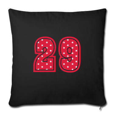 Geschenk Freundin Geburtstag Kissenbezug - 29 JAHRE ALT 29 Geburtstag Freundin Retro