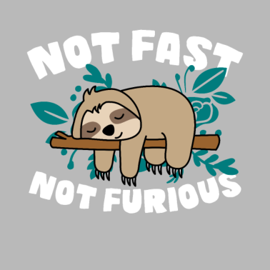 Motiv Faultier lustig Spruch Geburtstagsgeschenk Frauen