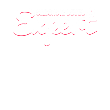 Motiv Awesome Expert Tshirt Design Sarkasmus Level Experte